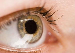 Finding a Glaucoma Specialist in St. Augustine, FL